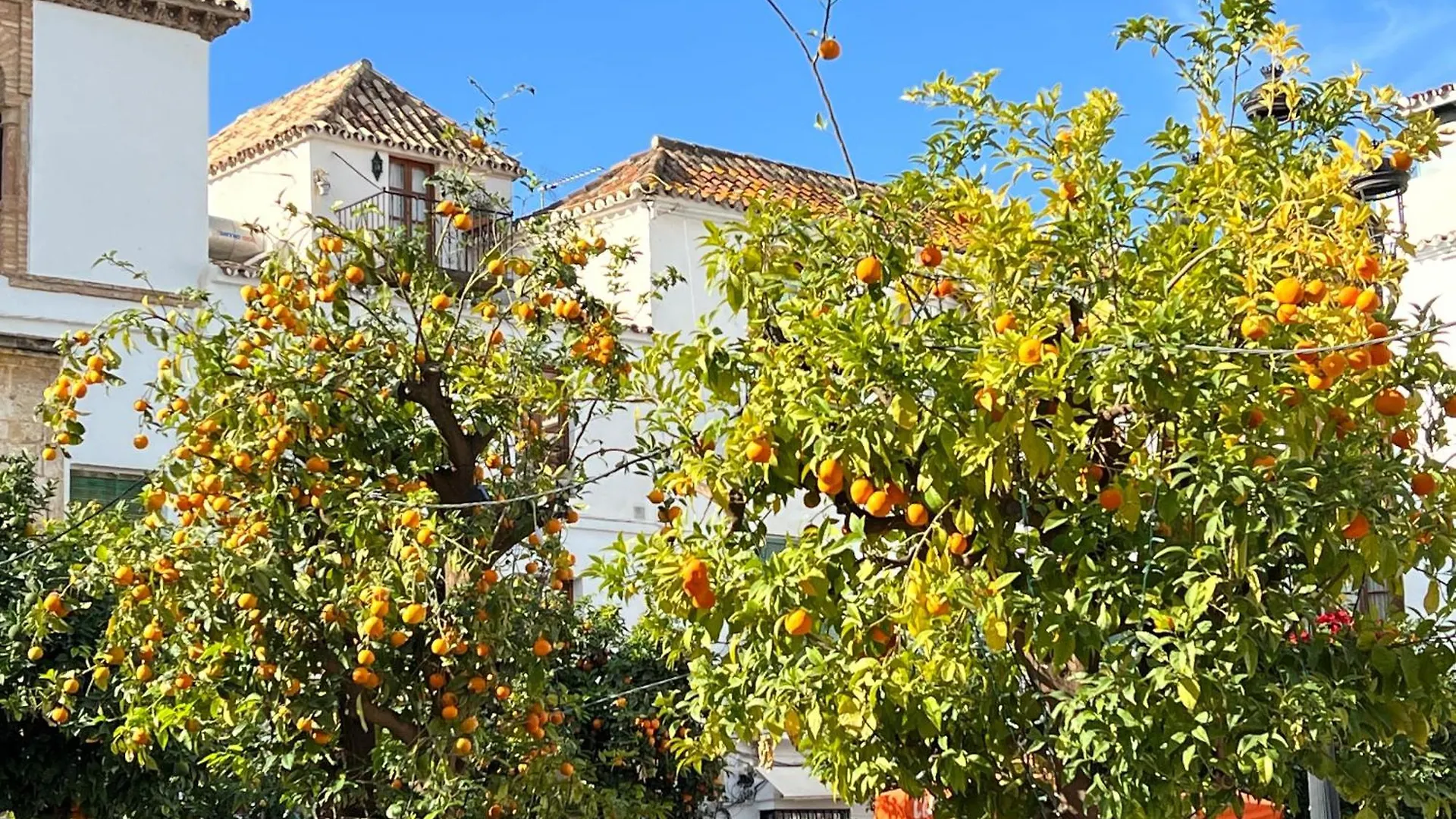 Casa Carolina - This One In Higueron With Jacuzzi, Pool And Best Views Mijas 0*,